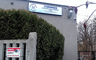 Schronisko dla bezdomnych w Ełku zmienia siedzibę. „Budynek został skazany na wyburzenie” Schronisko dla bezdomnych w Ełku zmienia siedzibę. „Budynek został skazany na wyburzenie”